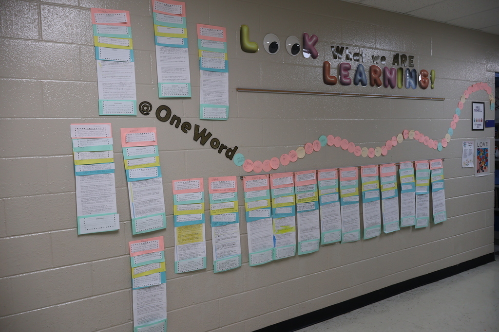 This is a picture of the painted essay display in the hallway. 