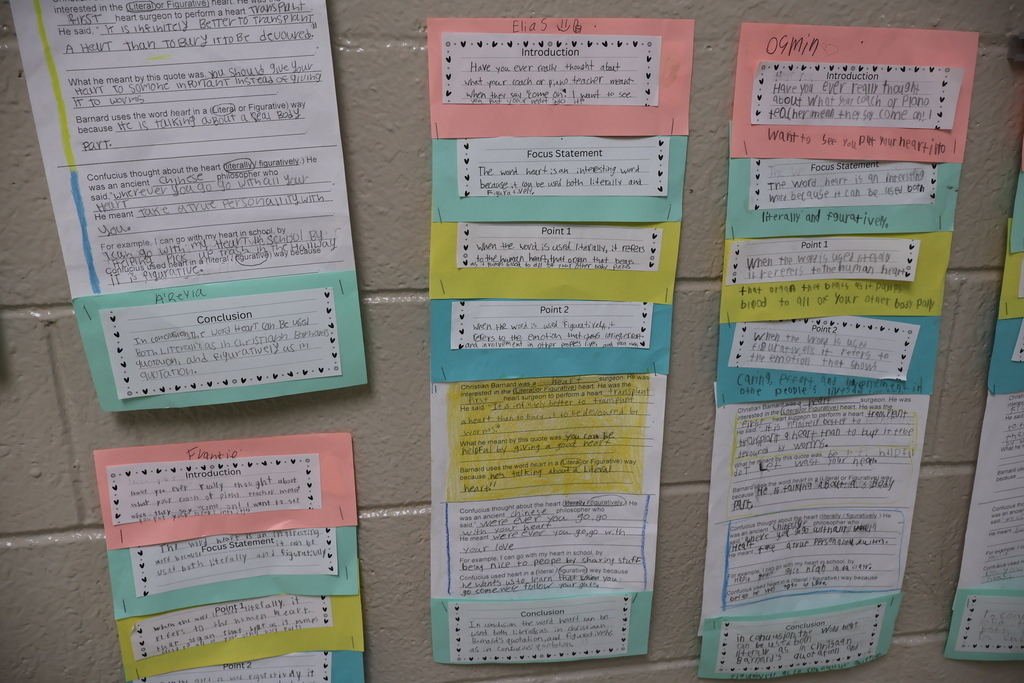 This is a picture of the painted essay display in the hallway. 