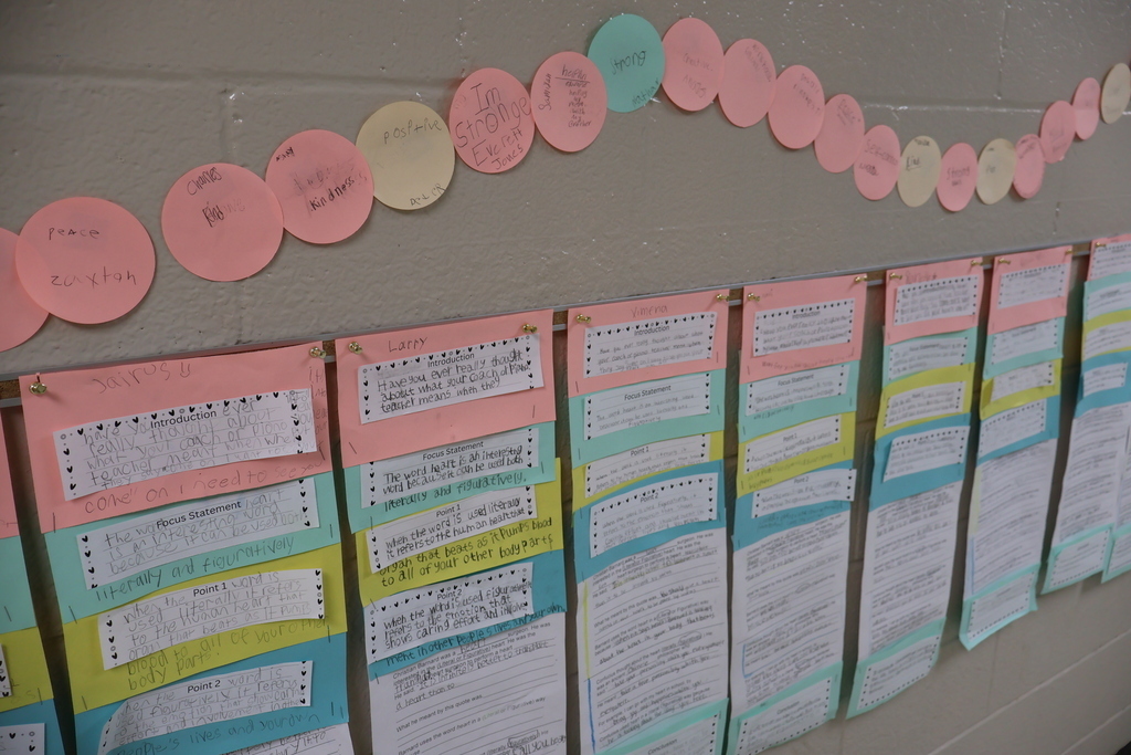 This is a picture of the painted essay display in the hallway. 