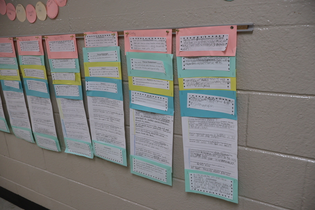 This is a picture of the painted essay display in the hallway. 