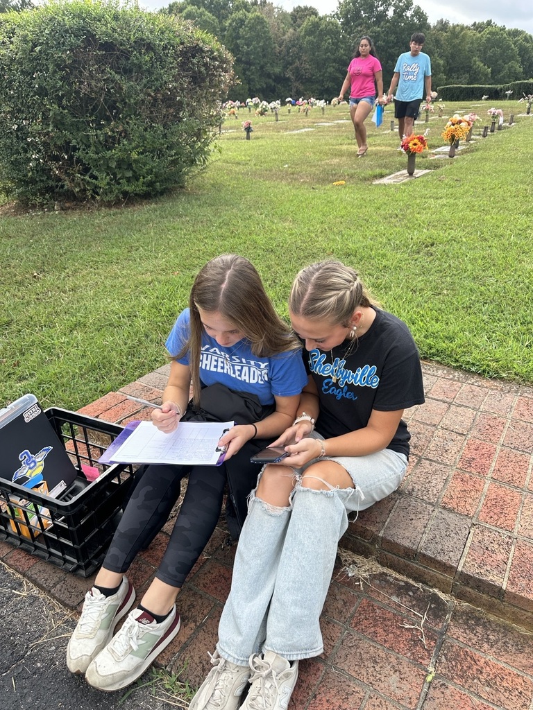 There are two students discussing the service members information at the cemetery. 