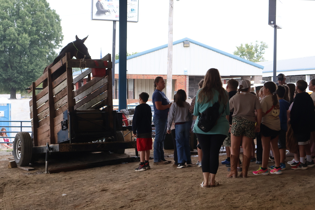 A mule is standing on a wooden platform while students watch from below as it churns ice cream. 