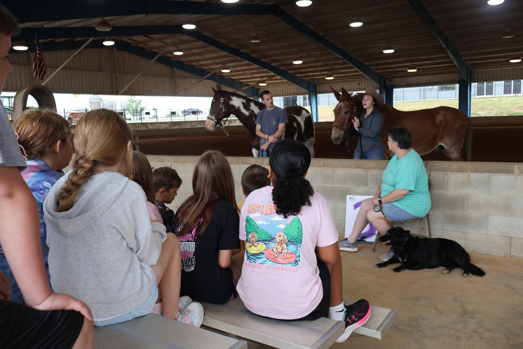 Two people are standing behind a wall holding a mule and a horse while students are sitting in front of them on bleachers listening to them speak. 