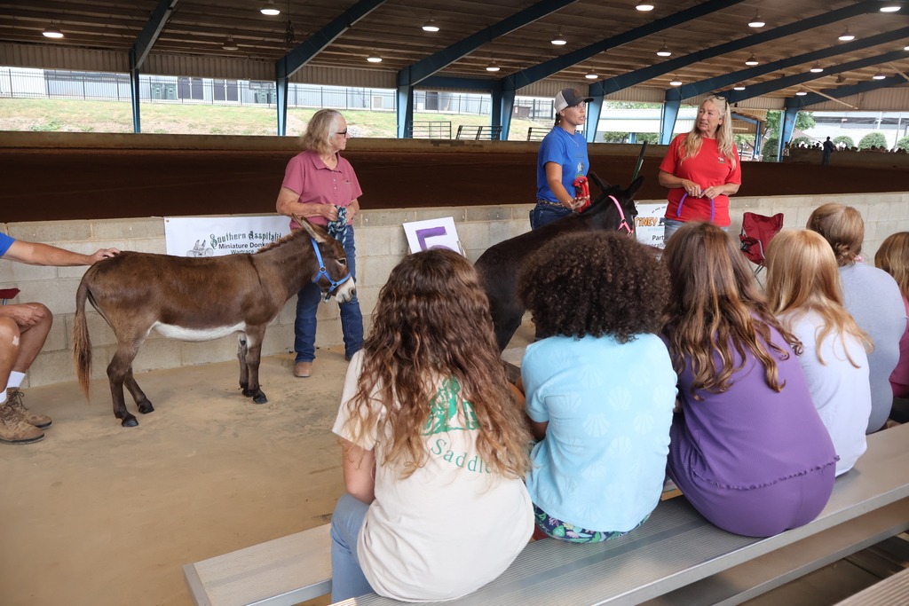 Three women are holding a lead rope for three donkeys while one is talking to students who are on the bleachers in front of them. 