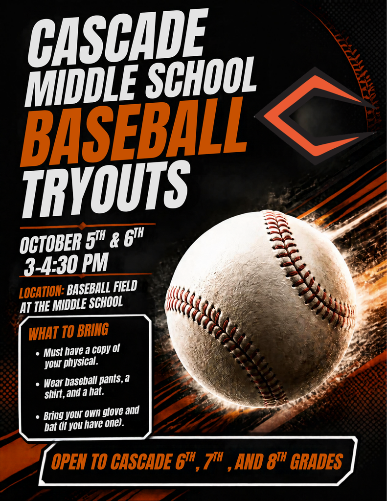 Baseball Tryouts