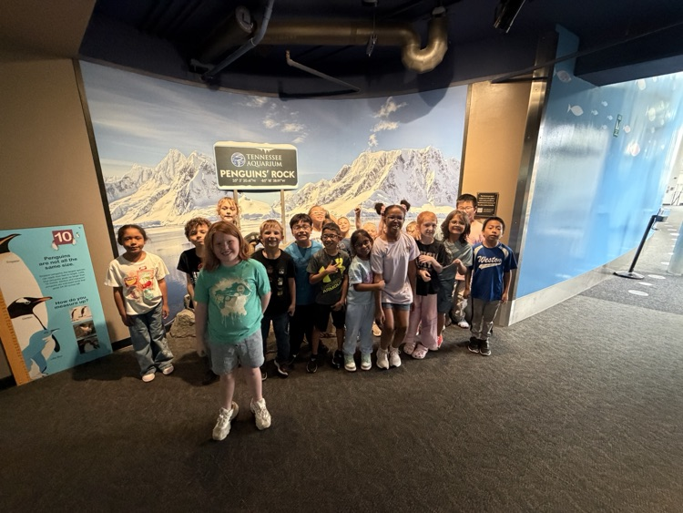 aquarium field trip 