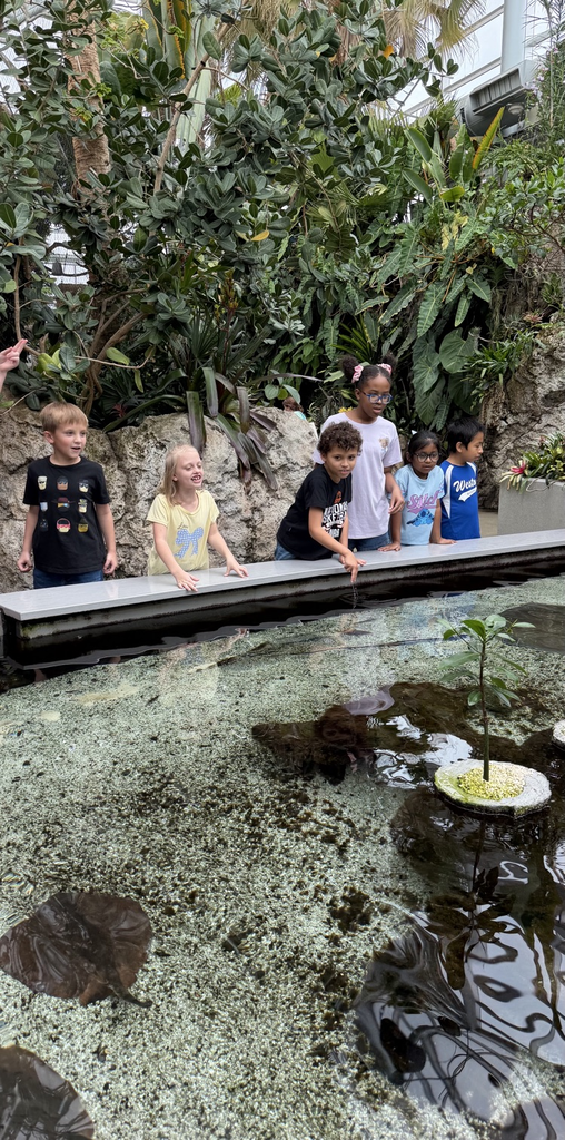 aquarium field trip 