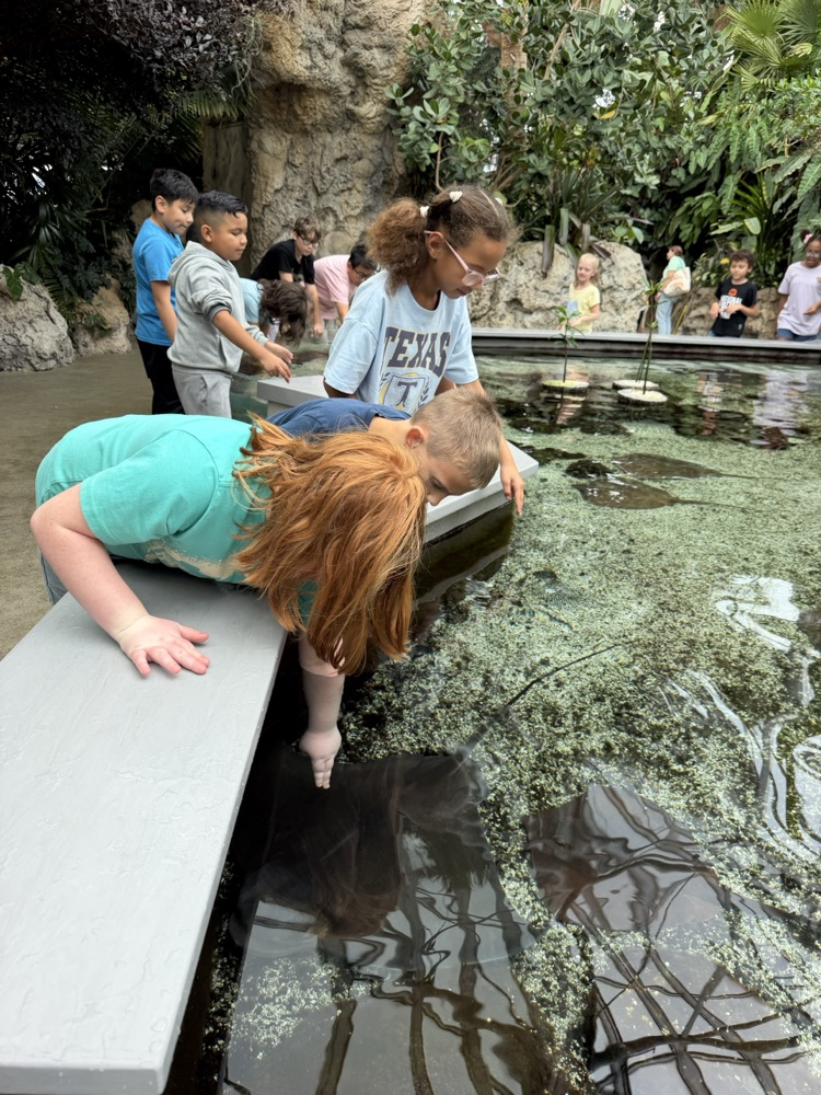 aquarium field trip 