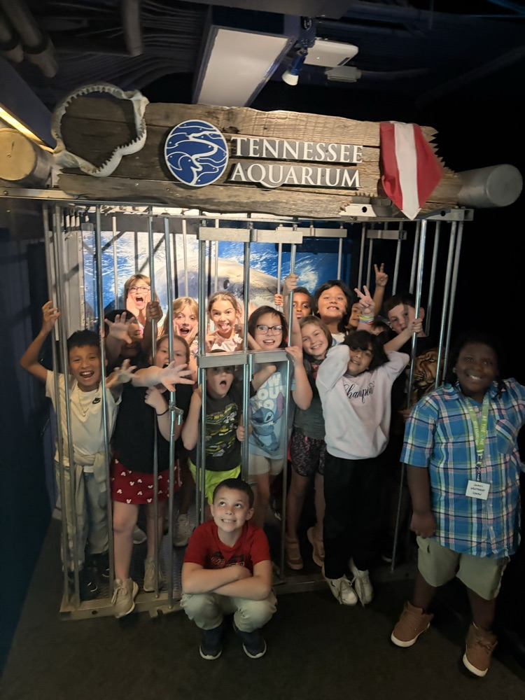 aquarium field trip 