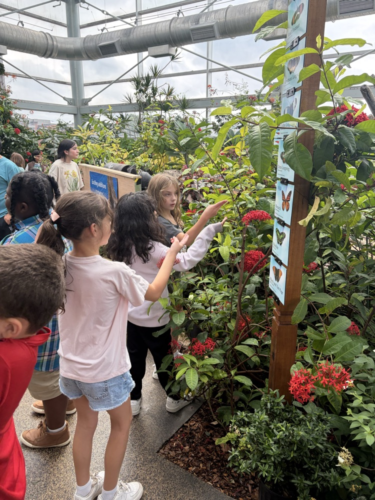 aquarium field trip 