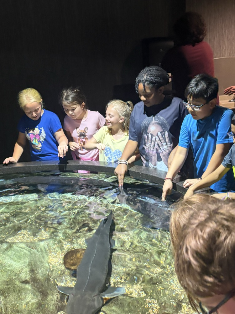 aquarium field trip 