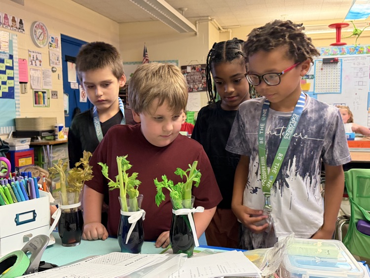 first grader science experiment 