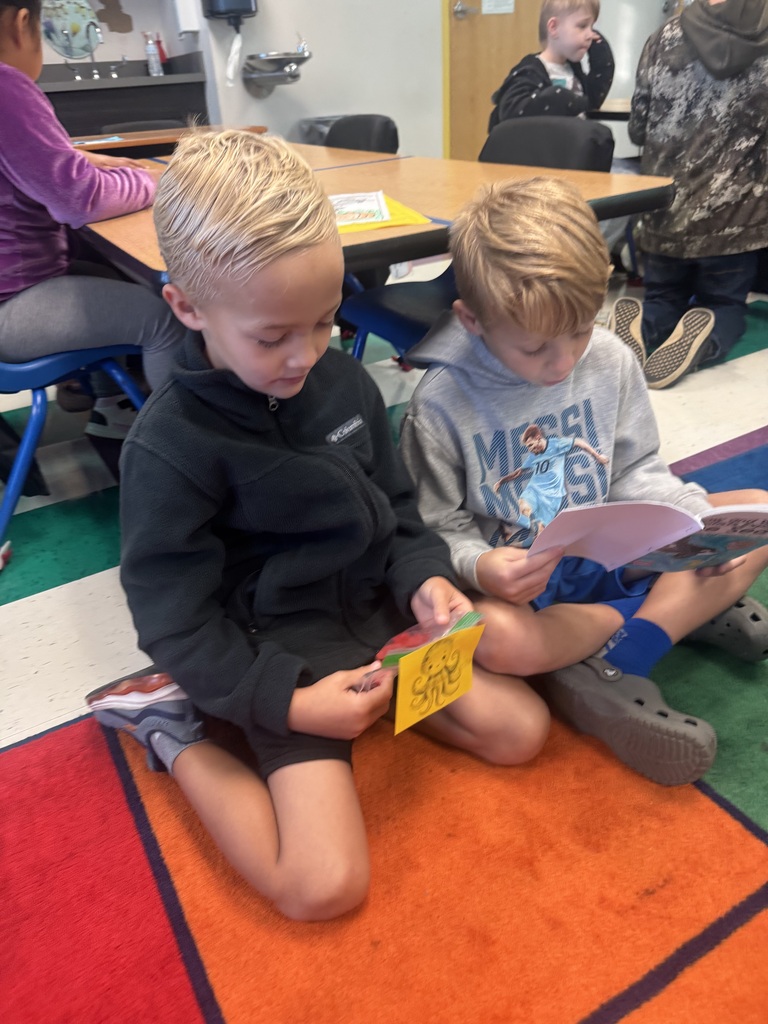 Two boys reading on the carpet