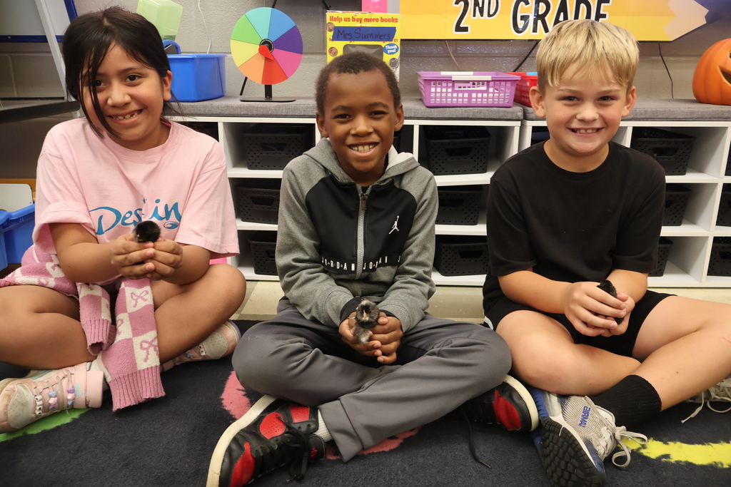 Three students are each holding one of the baby chicks. 