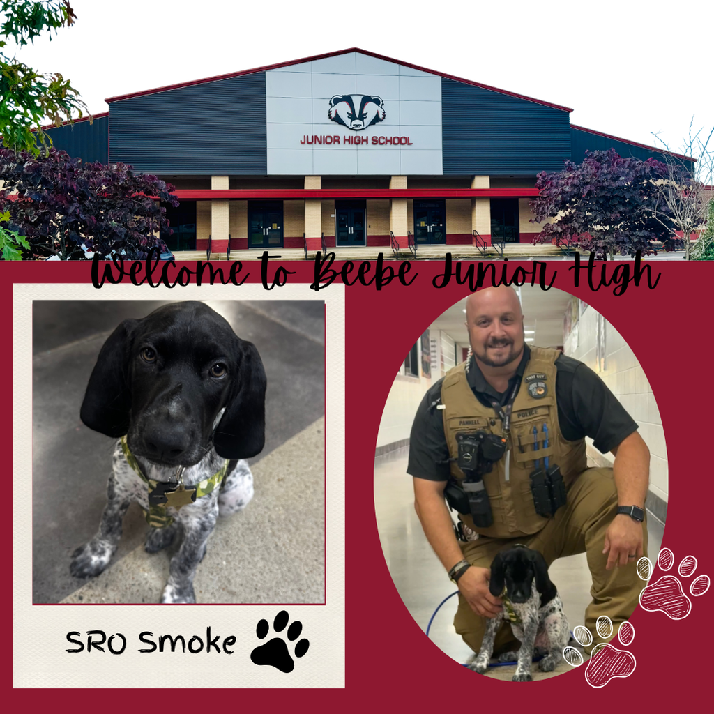 k9 SRO Smoke