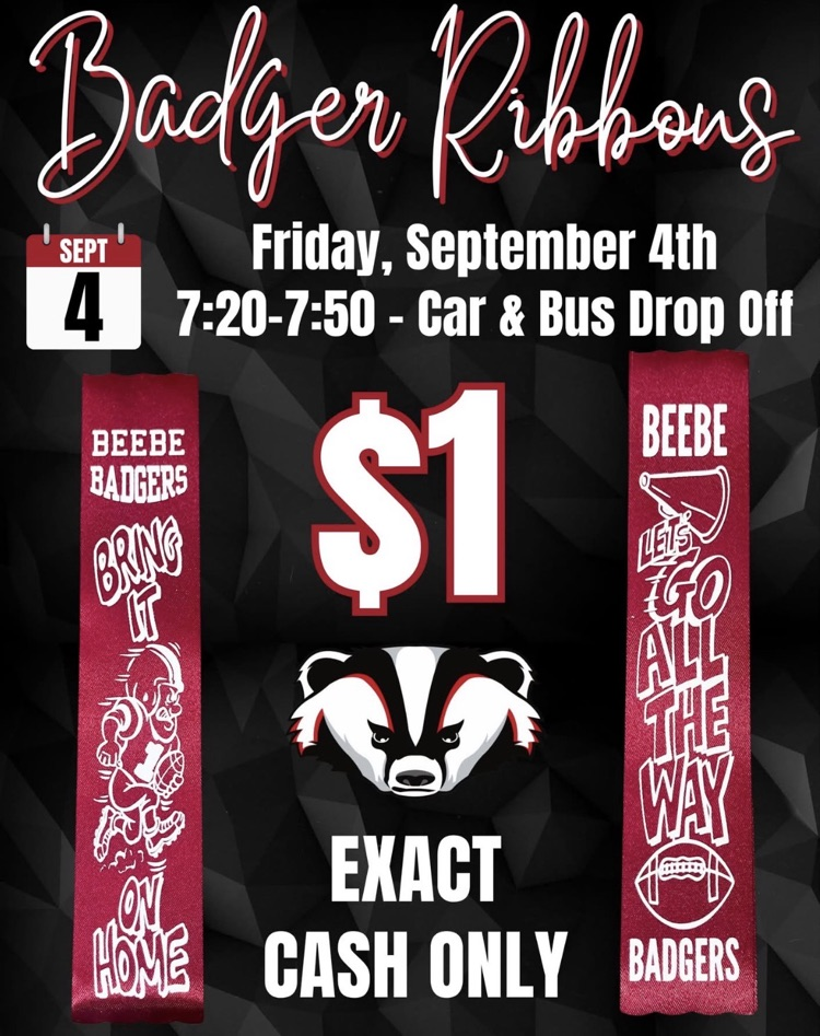 image of flyer advertising $1 spirit ribbons