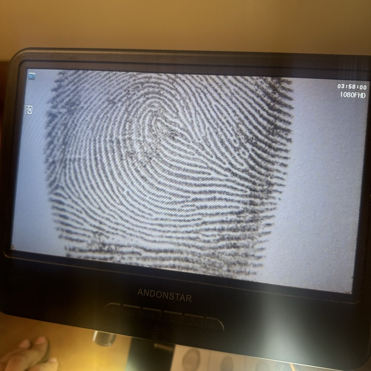 fingerprints