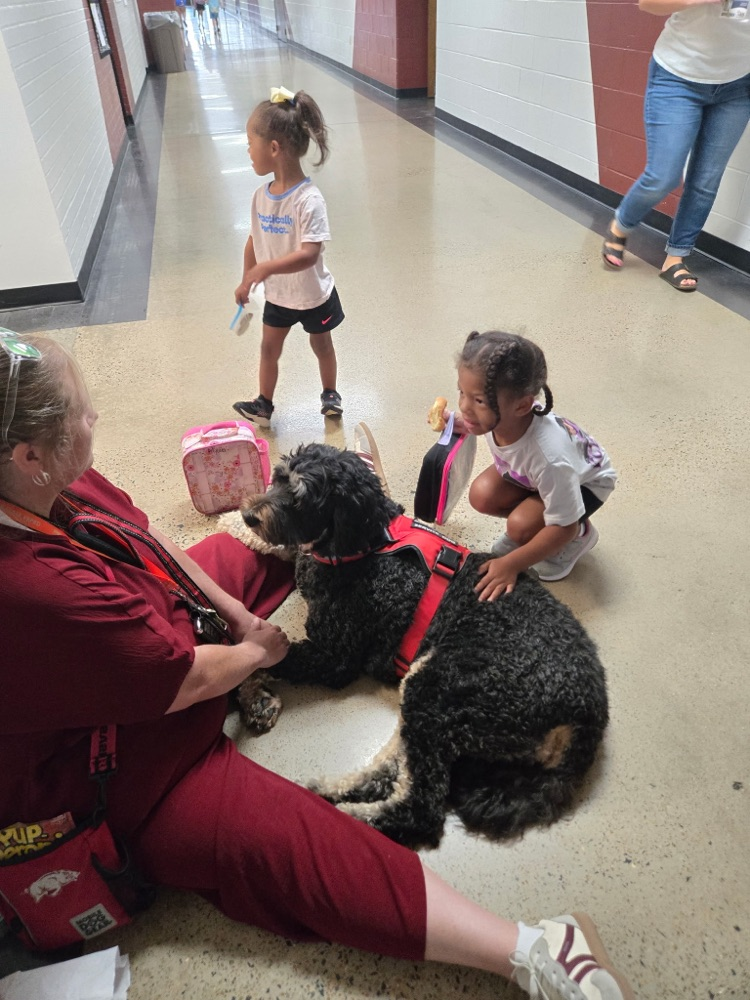 pre-K students petting Boomer the dog