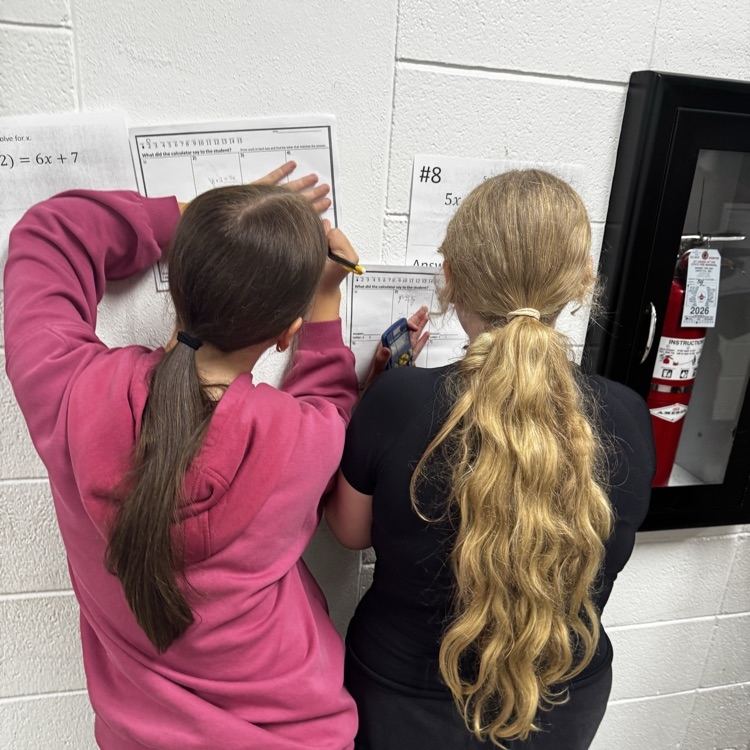 8th grade math scavenger math