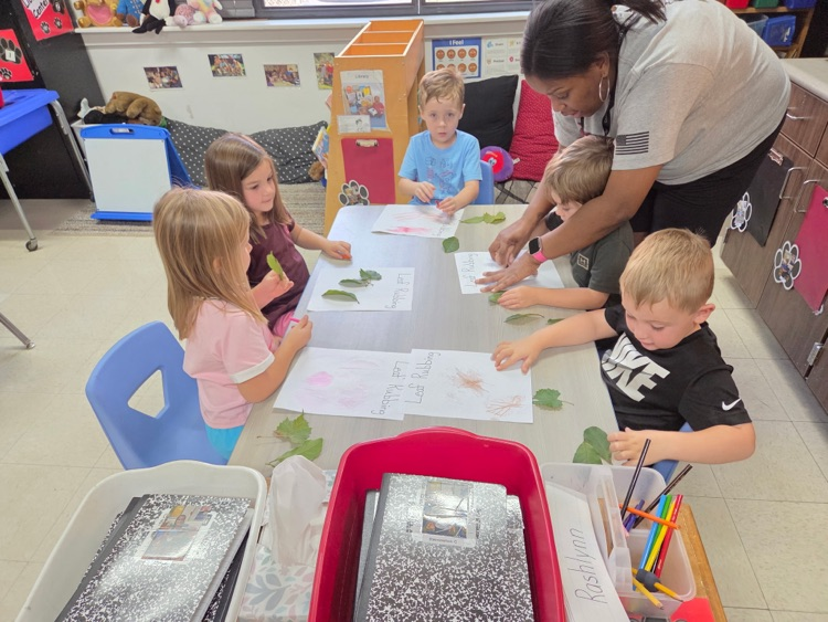 students working on leaf project