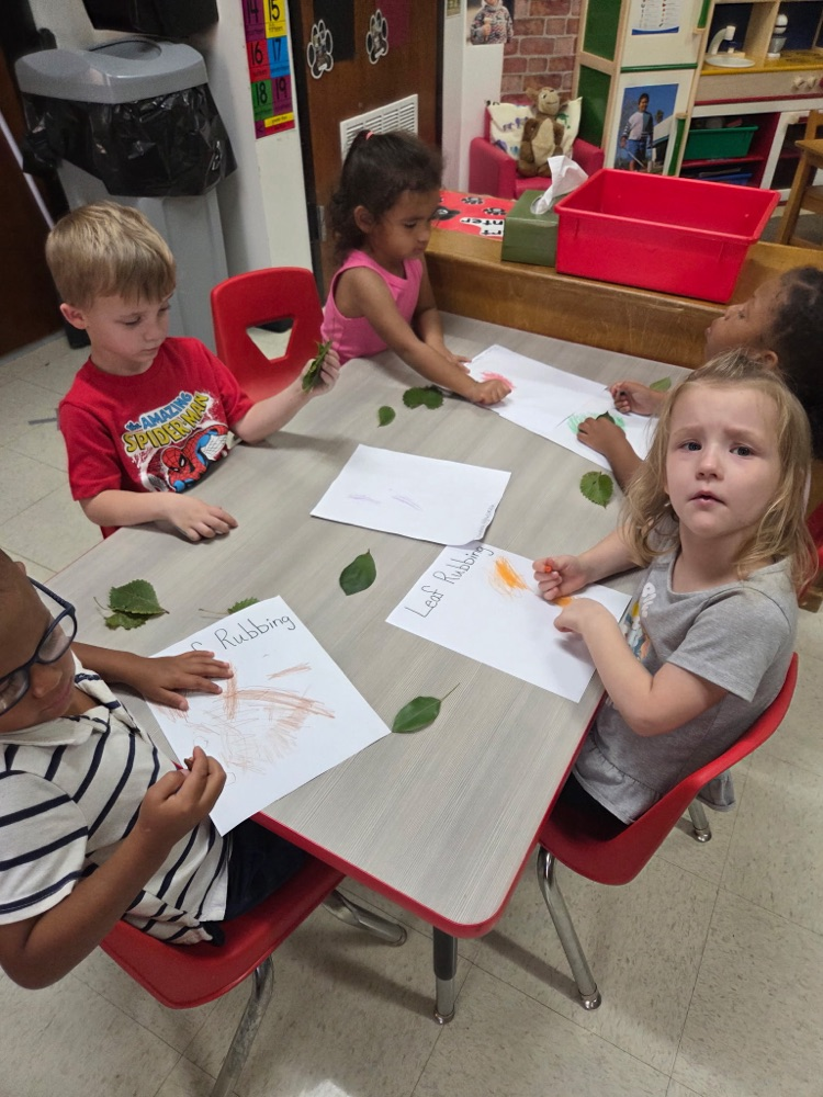 students working on leaf project