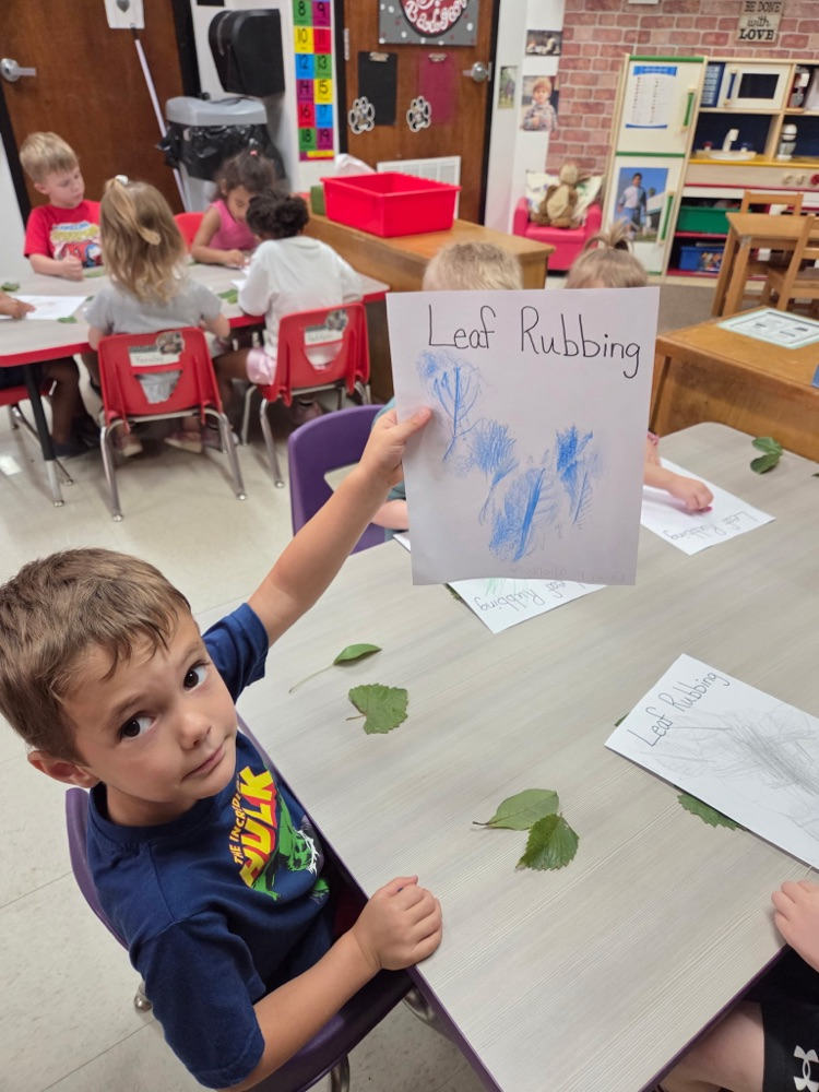 students working on leaf project