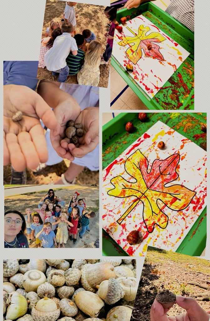 collage of student artwork and class hunting for acorns 