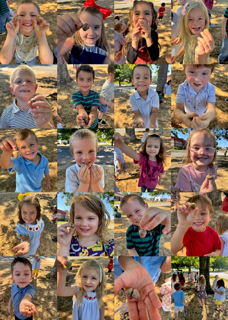 Students holding their acorns  