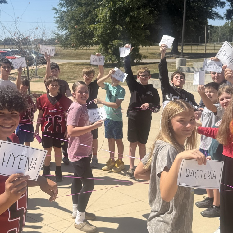 Ecosystems in 7h grade science