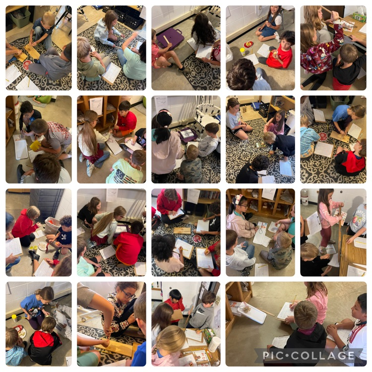 Students learning