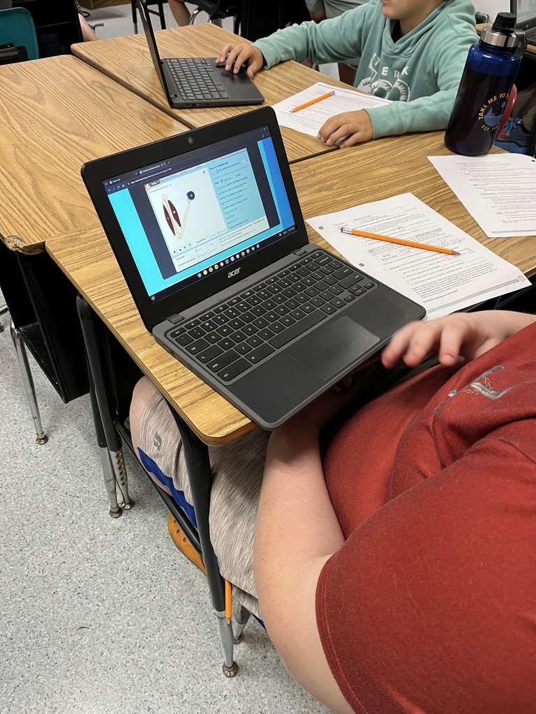In Mrs. Rose’s class today, we are using a Gizmos to design an arm that can lift a dumbbell. We are using our knowledge of how muscles, bones, ligaments, tendons, and cartilage work together to make the joint function.
