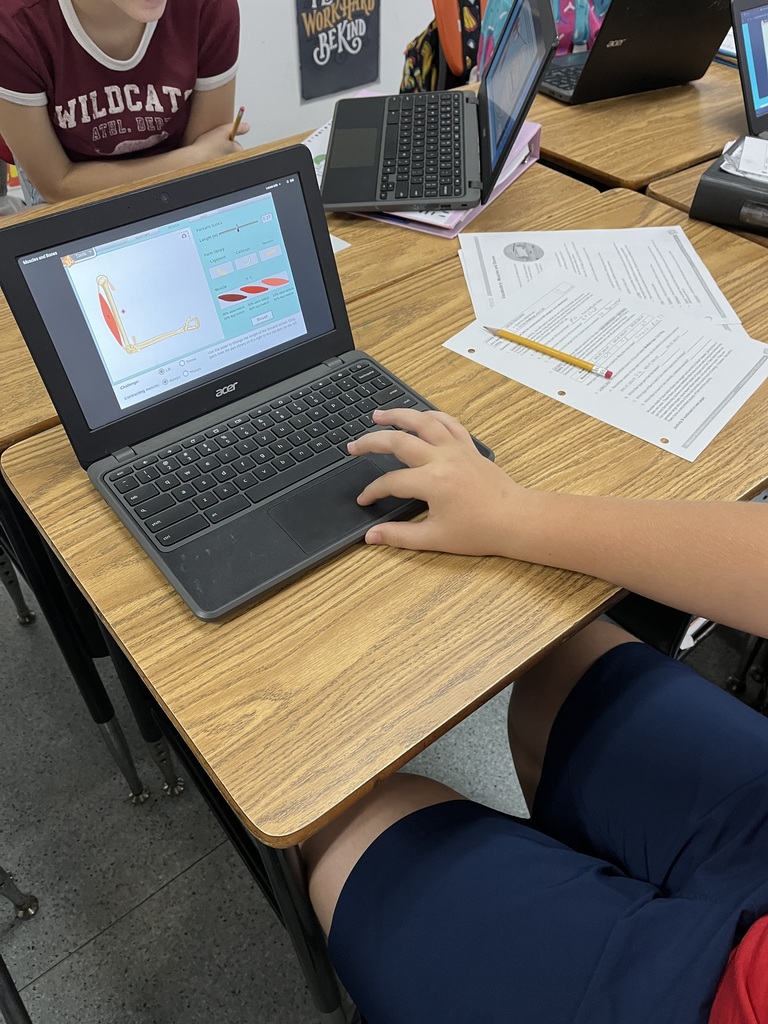 In Mrs. Rose’s class today, we are using a Gizmos to design an arm that can lift a dumbbell. We are using our knowledge of how muscles, bones, ligaments, tendons, and cartilage work together to make the joint function.