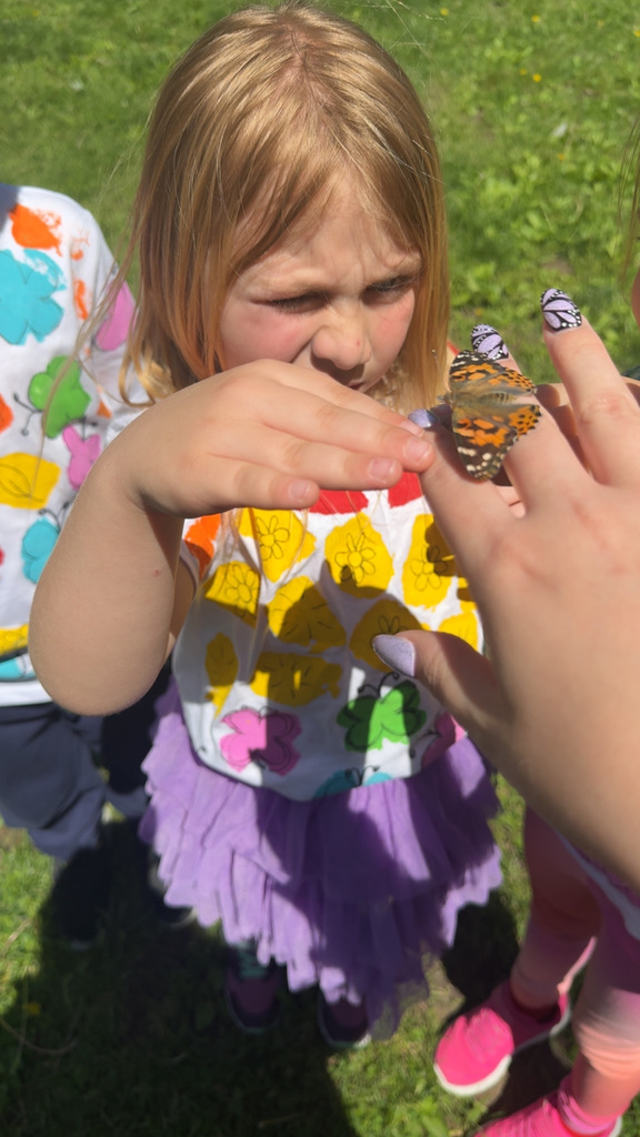 Butterfly Release!