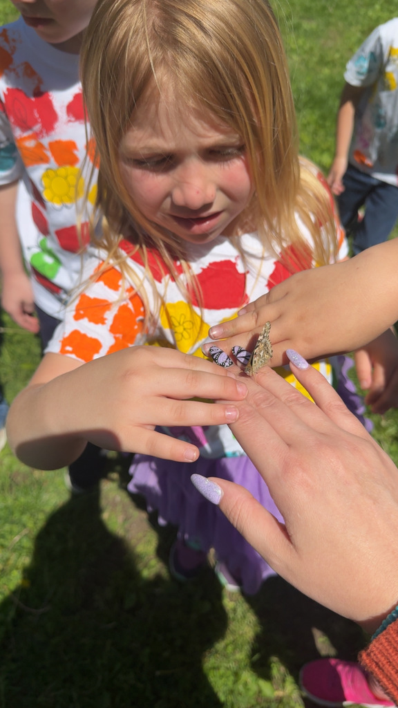 Butterfly Release!