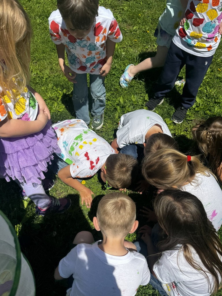 Butterfly Release!