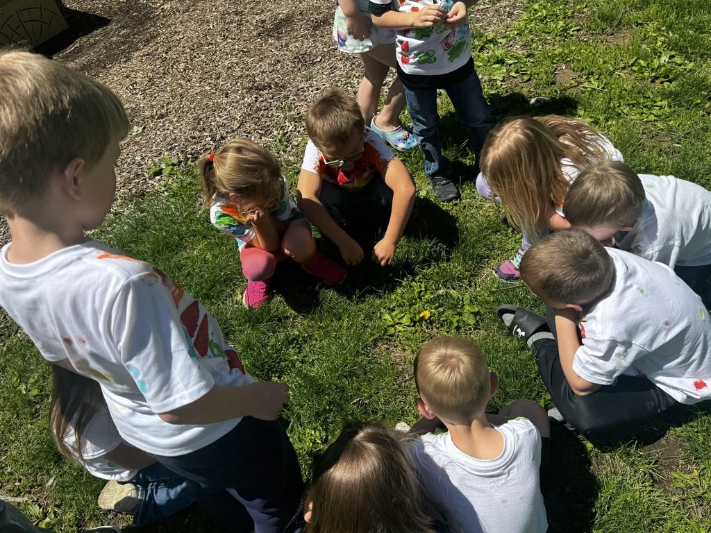 Butterfly Release!