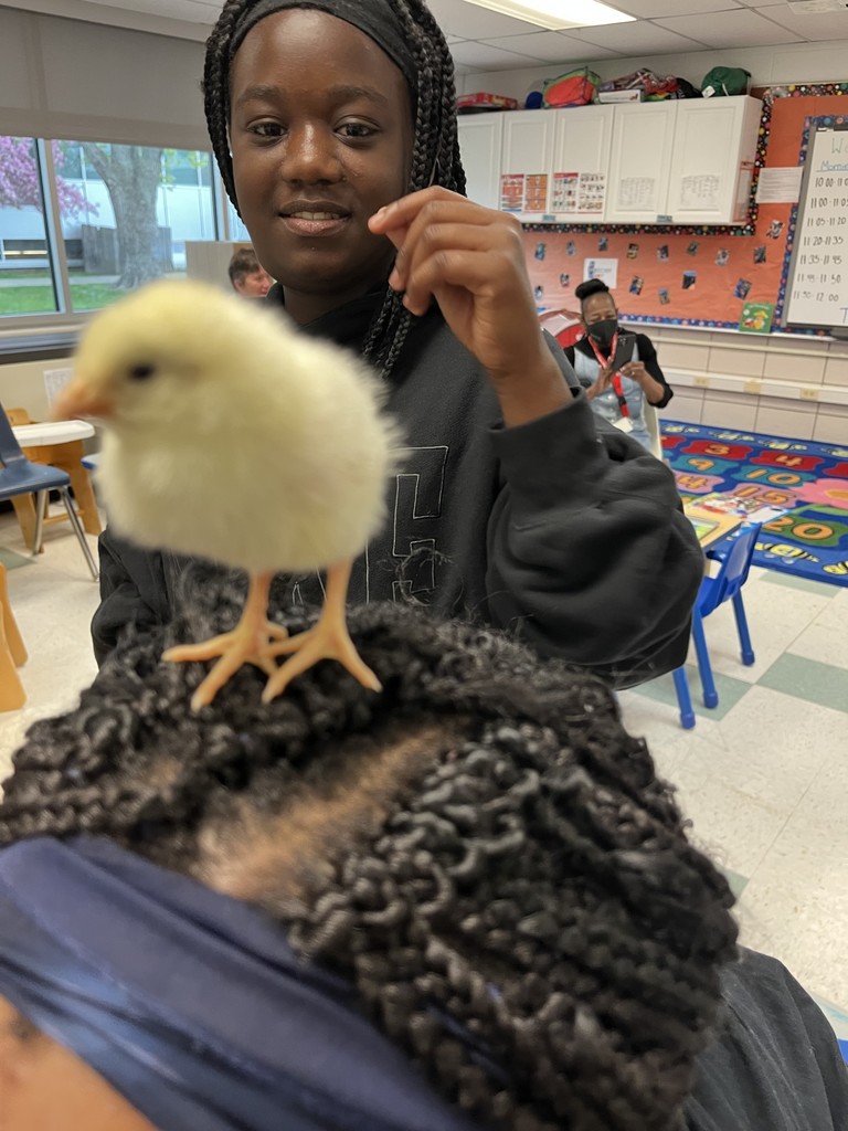 Early Head Start