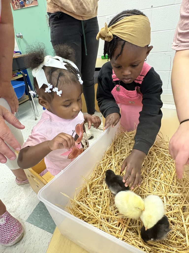 Early Head Start