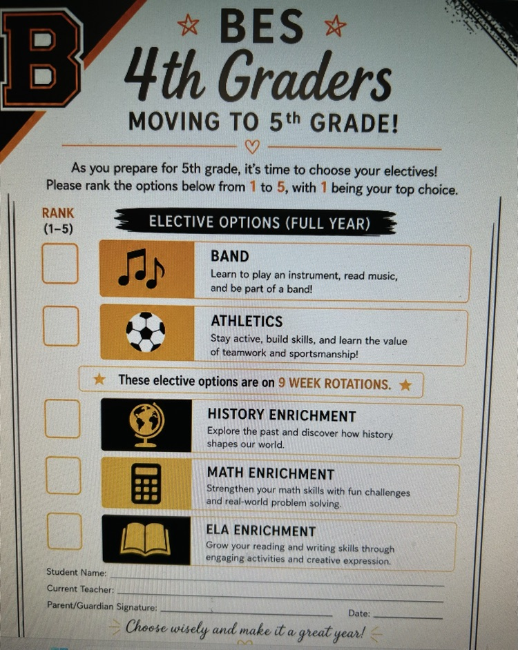 Elective Choices