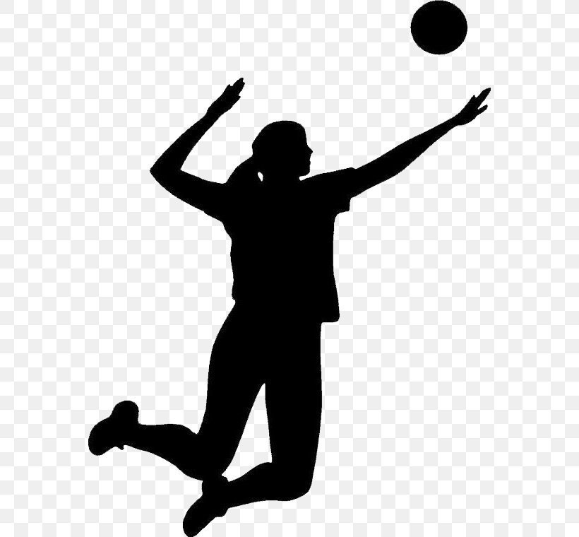 BMS Volleyball Information