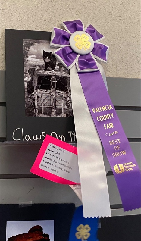 Best of Show in Photography