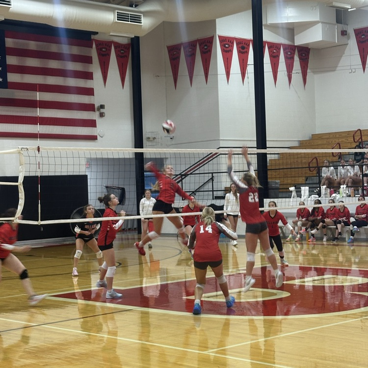 vball1