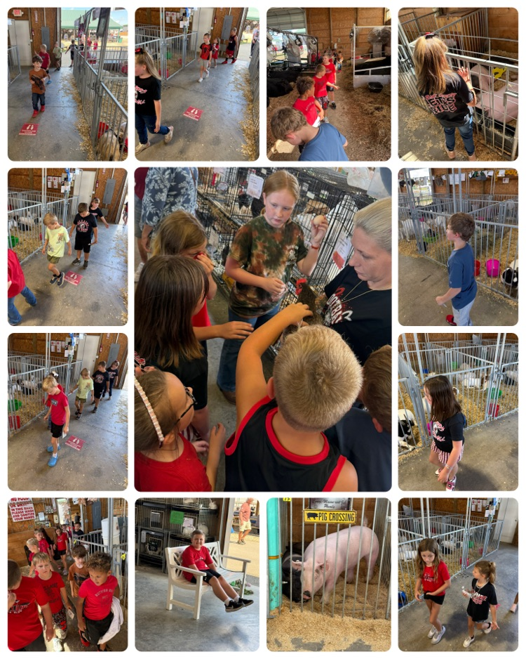Fun at the Belmont County Fair! Mrs. Patrone’s Class had a wonderful time seeing and learning about different animals and nature. 🐷🐮🐴
