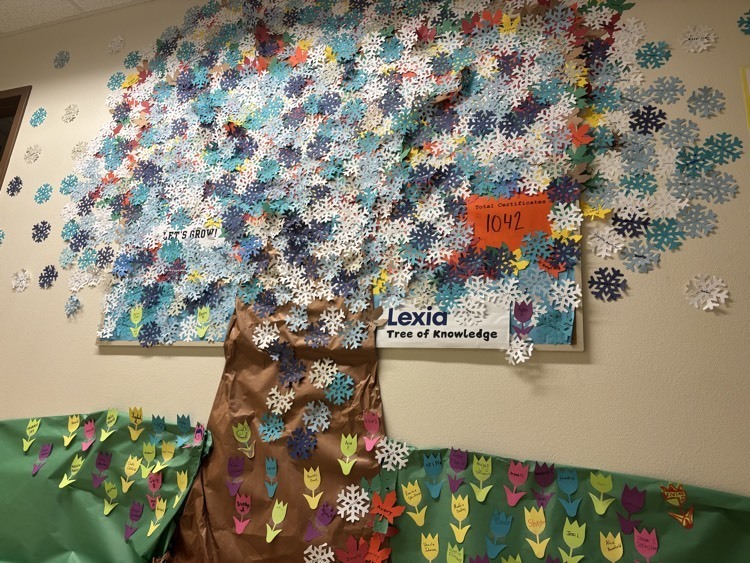 Lexia Tree