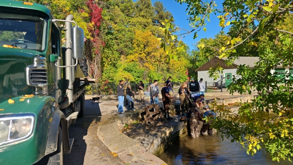 Students help net and move fish.