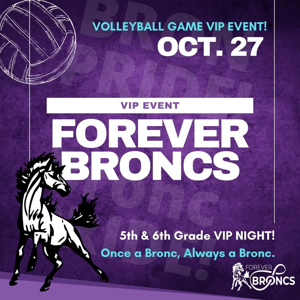 Volleyball Game VIP Event