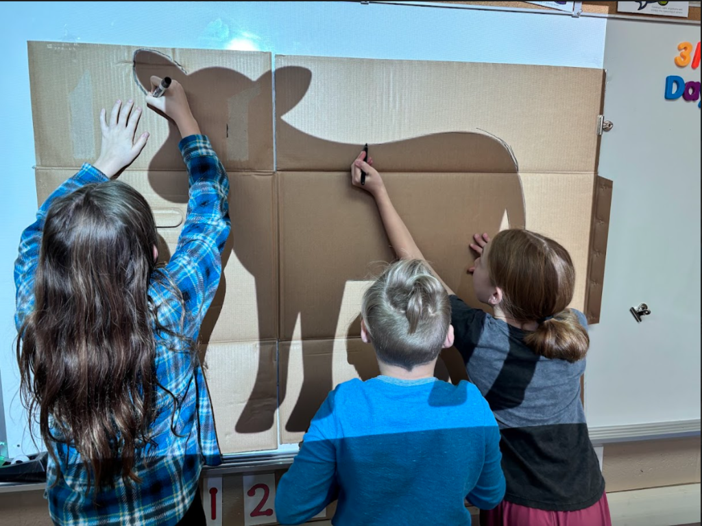 Kids tracing a cow.