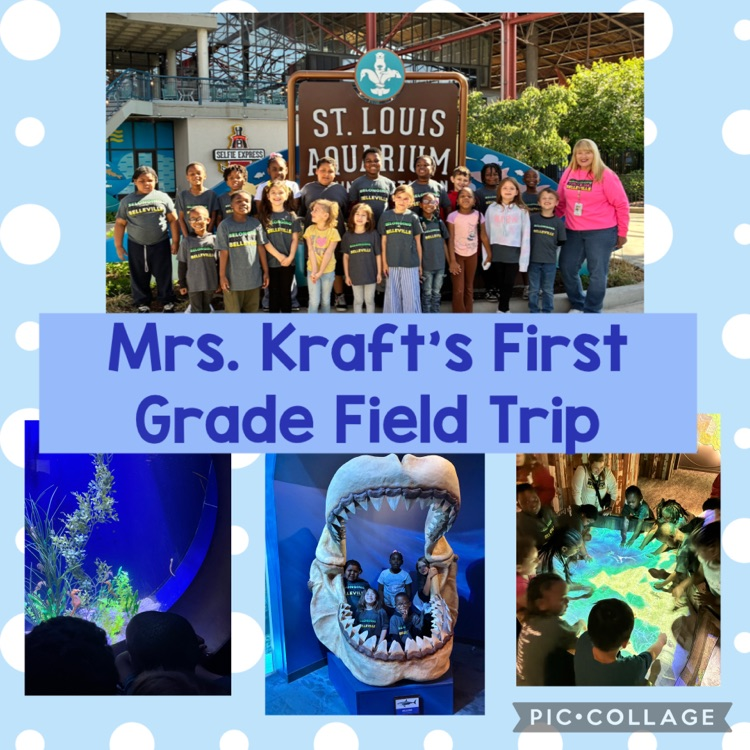 field trip 🩵🦈