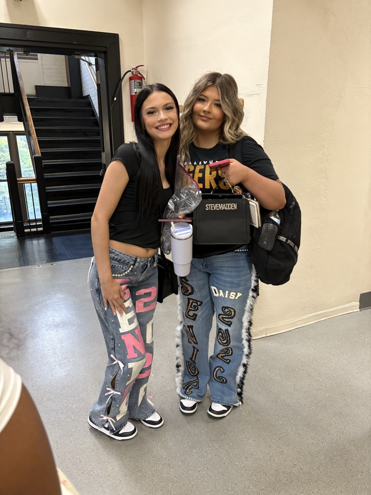 BMHS