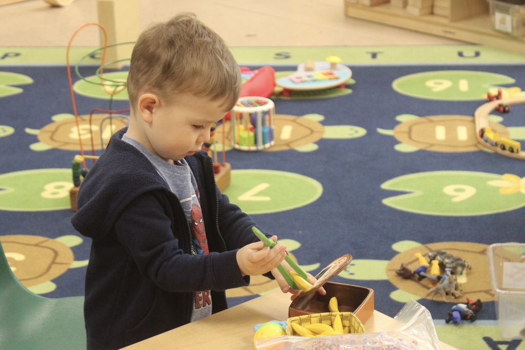 Cradle School
